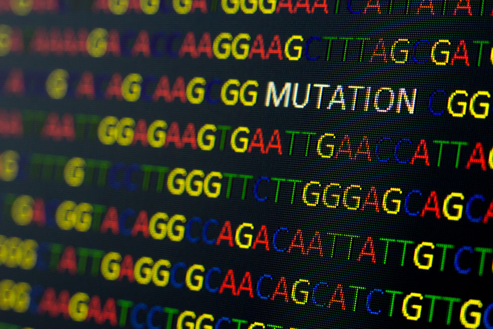 DNA sequence mutation (2)