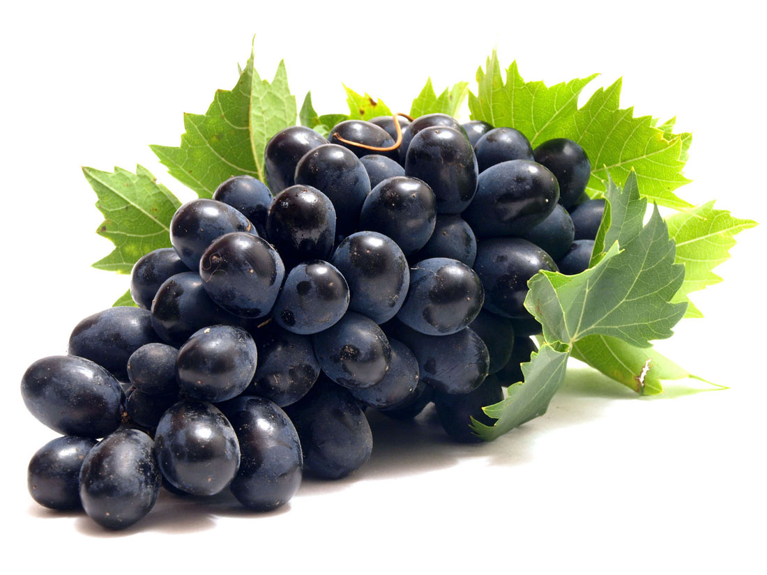 pinot grapes